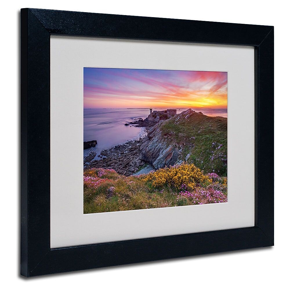 Trademark Fine Art 11" x 14" Acrylic Brittany in Flowers, Black Frame