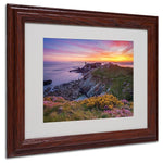 Trademark Fine Art 11" x 14" Acrylic Brittany in Flowers, Dark Wood