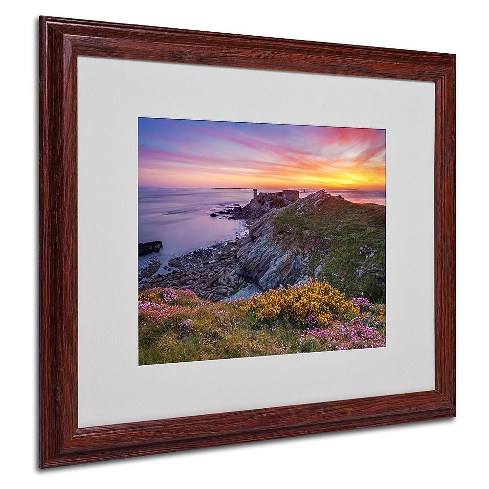 Trademark Fine Art 16" x 20" Acrylic Brittany in Flowers, Wood Frame