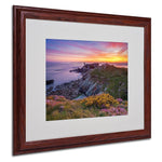 Trademark Fine Art 16" x 20" Acrylic Brittany in Flowers, Wood Frame