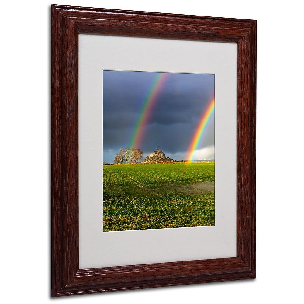 Trademark Fine Art 11" x 14" Acrylic Double Rainbow, Wood Frame