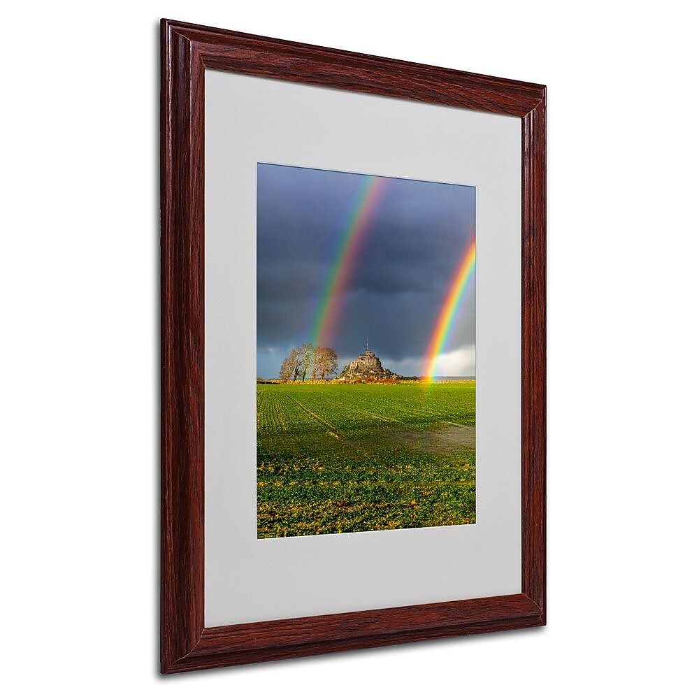 Trademark Fine Art 16" x 20" Acrylic Double Rainbow, Wood Frame