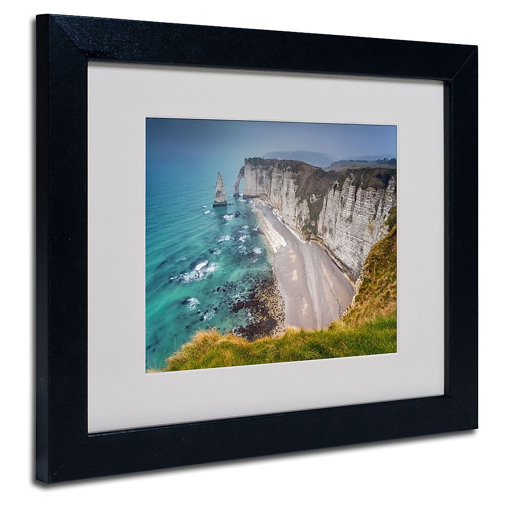Trademark Fine Art 11" x 14" Canvas, Wood Fog Artwork, Black Frame