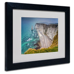 Trademark Fine Art 11" x 14" Canvas, Wood Fog Artwork, Black Frame