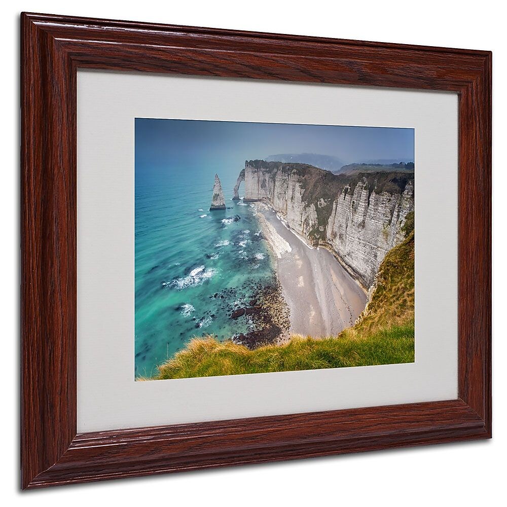 Trademark Fine Art 11" x 14" Canvas, Wood Fog Artwork, Wood Frame