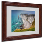 Trademark Fine Art 11" x 14" Canvas, Wood Fog Artwork, Wood Frame