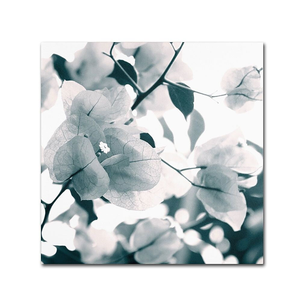 Trademark Fine Art 18" x 18" Wooden Frame About a Flower
