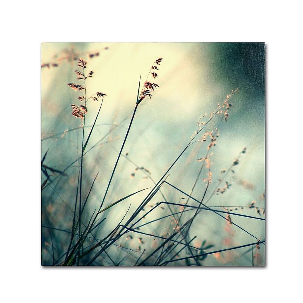 Trademark Fine Art 14" x 14" Wooden Frame About Hope Artwork