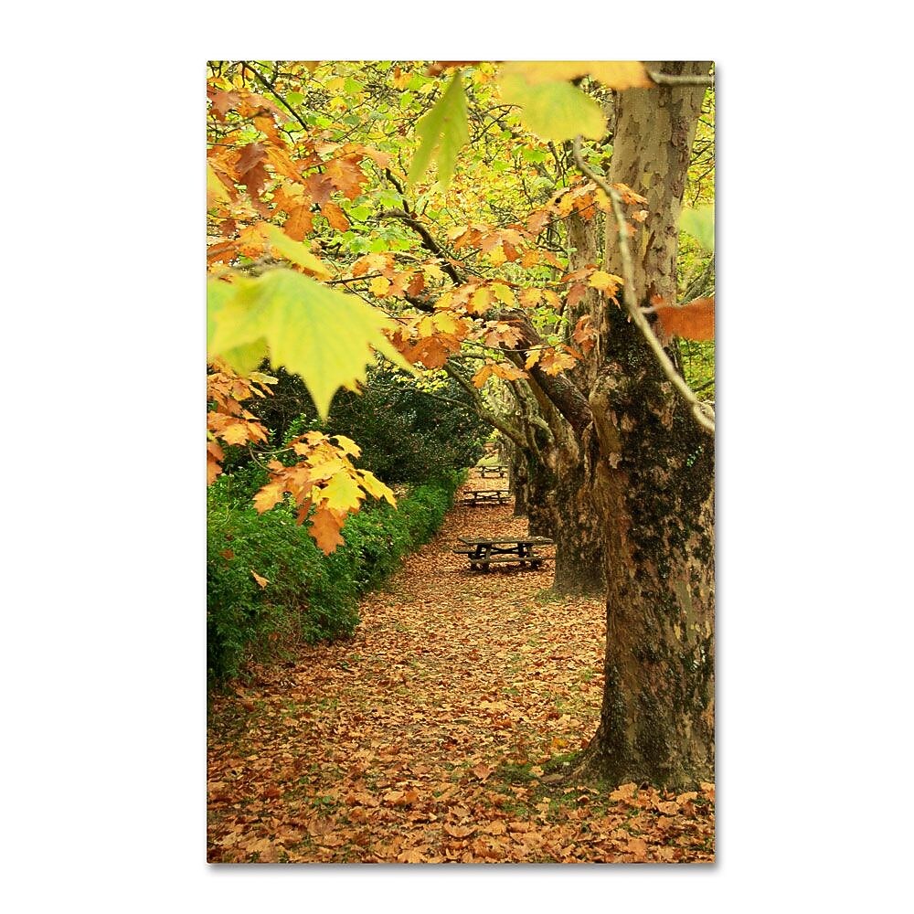 Trademark Fine Art 32" x 22" Wooden Frame Autumn Conversations