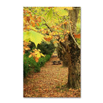 Trademark Fine Art 32" x 22" Wooden Frame Autumn Conversations
