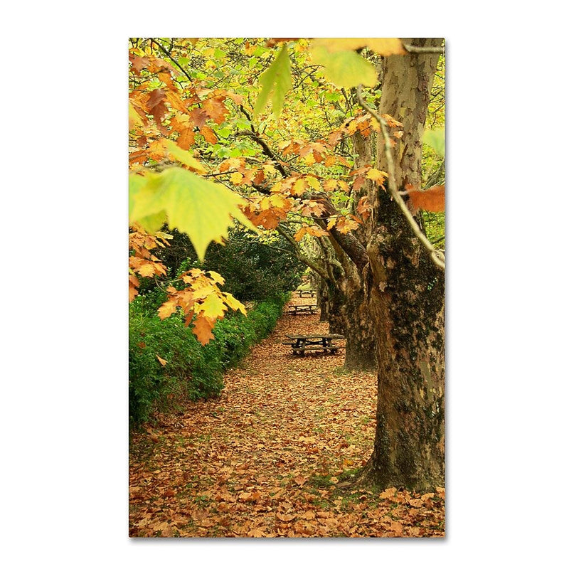 Trademark Fine Art 32" x 22" Wooden Frame Autumn Conversations