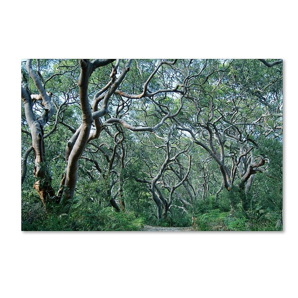 Trademark Fine Art 16" x 24" Wooden Frame Beautiful Minds