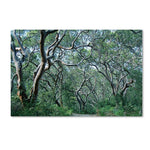 Trademark Fine Art 16" x 24" Wooden Frame Beautiful Minds