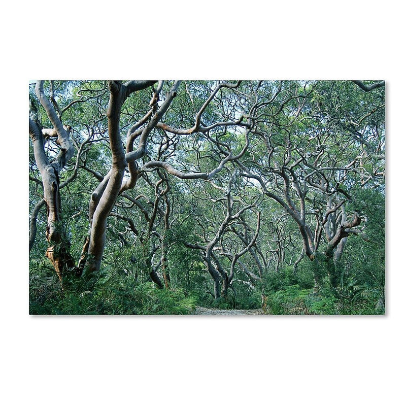 Trademark Fine Art 16" x 24" Wooden Frame Beautiful Minds