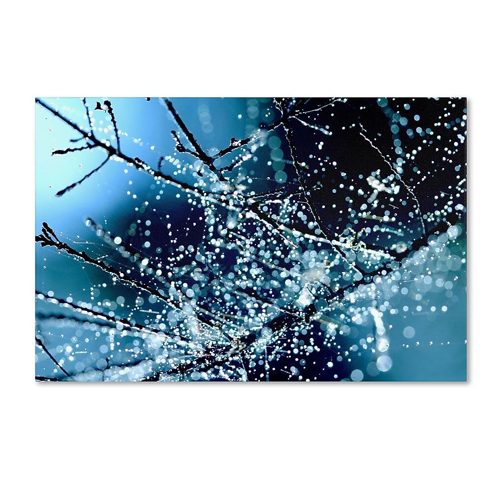 Trademark Fine Art 22" x 32" Wooden Frame Blue Rhapsody