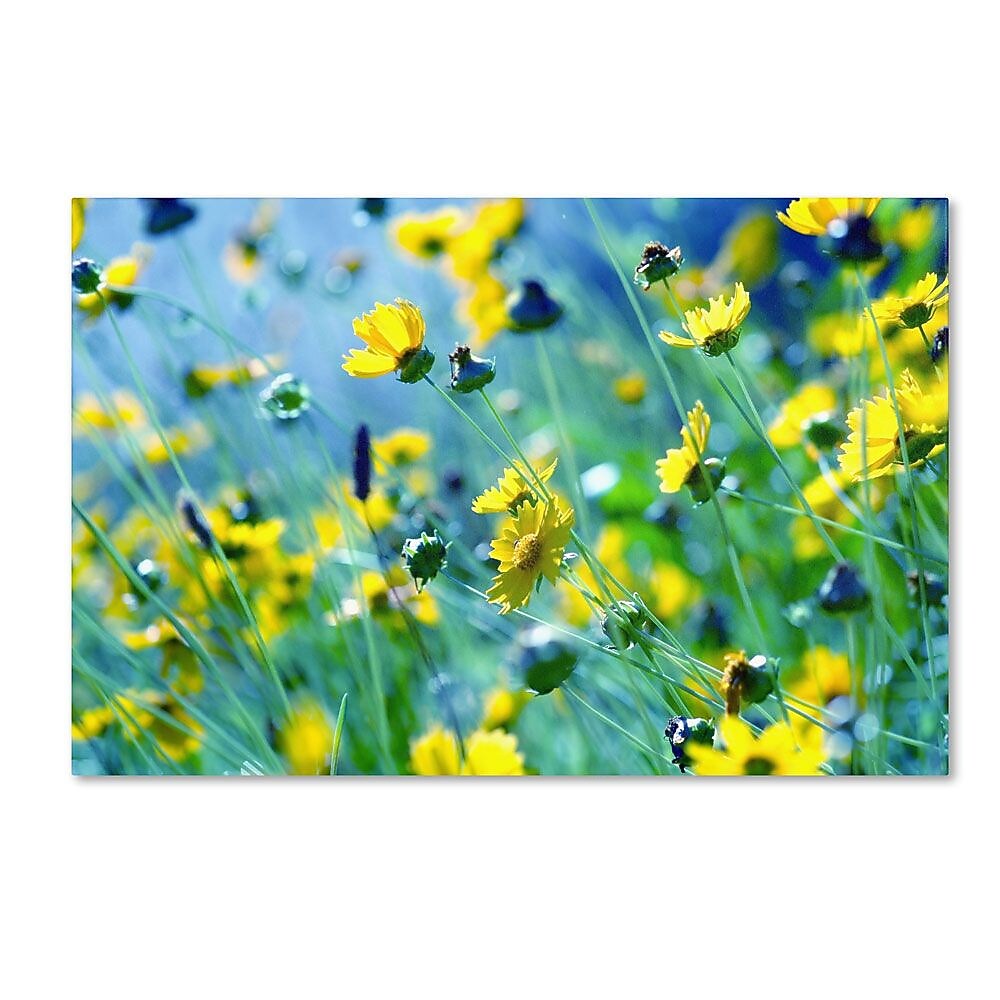 Trademark Fine Art 12" x 19" Wooden Frame Wrapped Canvas Art