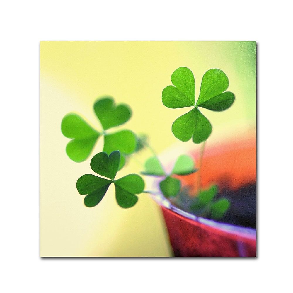 Trademark Fine Art 24" x 24" Wooden Frame The Light Artwork