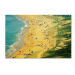 Trademark Fine Art 30" x 47" Wooden Frame Life is a Beach