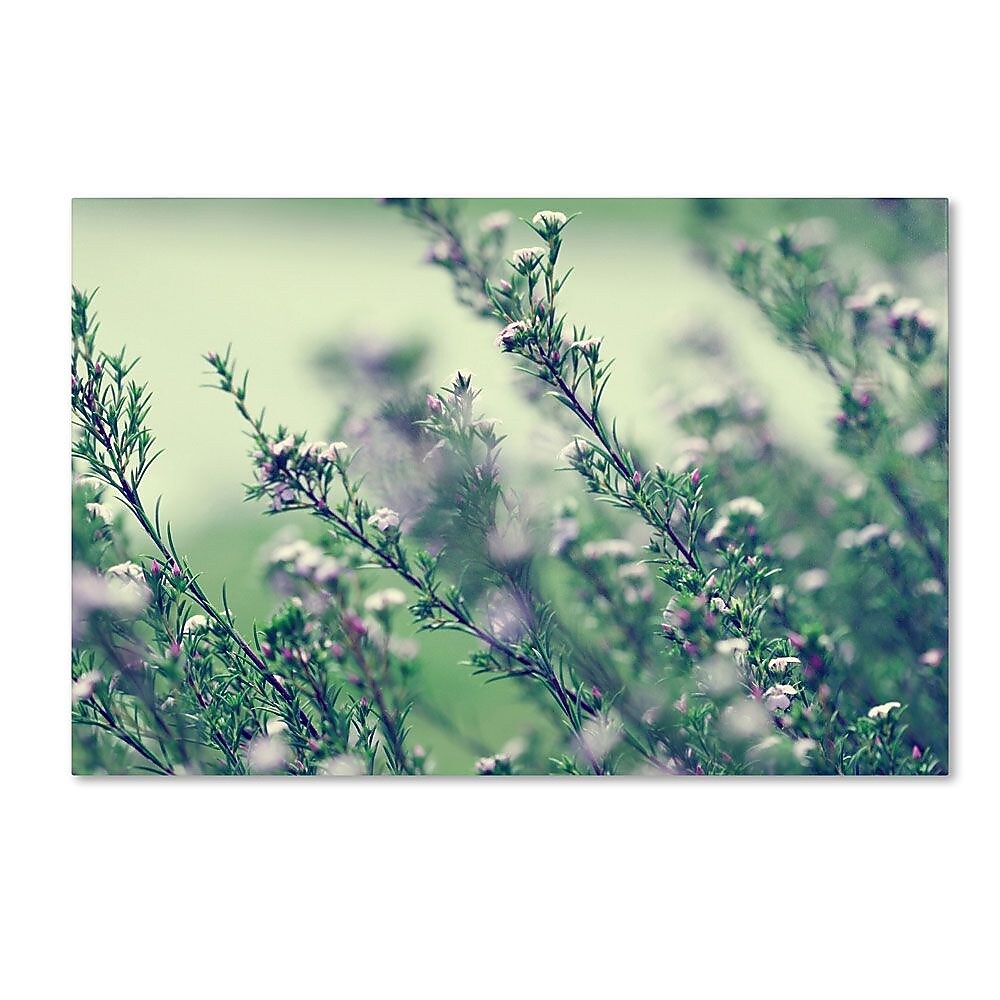 Trademark Fine Art 12" x 19" Wooden Frame Memories of Summer