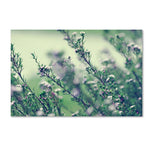 Trademark Fine Art 12" x 19" Wooden Frame Memories of Summer