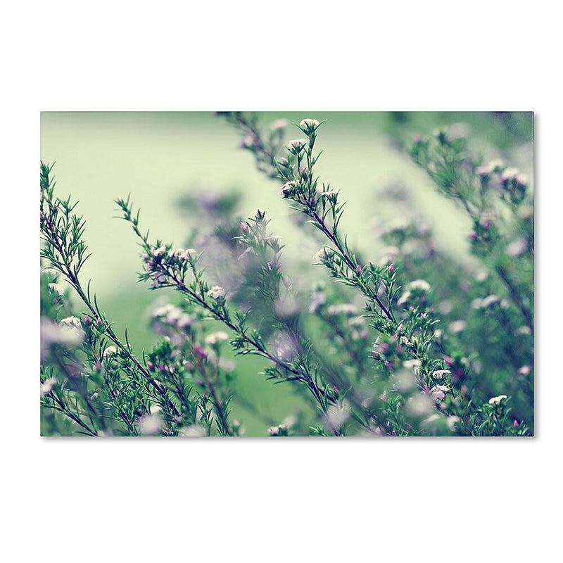 Trademark Fine Art 12" x 19" Wooden Frame Memories of Summer