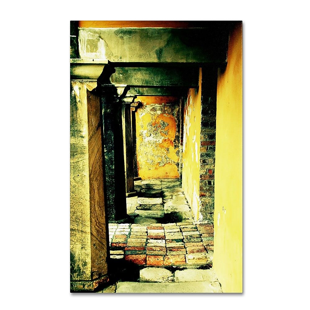 Trademark Fine Art 24" x 16" Wooden Frame Moments in Time