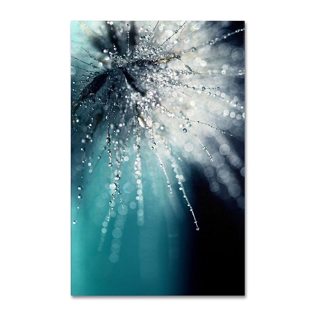 Trademark Fine Art 19" x 12" Wooden Frame Morning Sonata