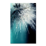 Trademark Fine Art 19" x 12" Wooden Frame Morning Sonata