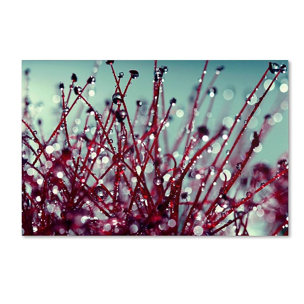 Trademark Fine Art 30" x 47" Wooden Frame Morning Tunes