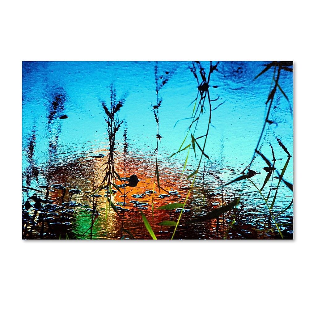 Trademark Fine Art 30" x 47" Canvas, Wood Gallery Wrapped Art