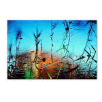 Trademark Fine Art 30" x 47" Canvas, Wood Gallery Wrapped Art