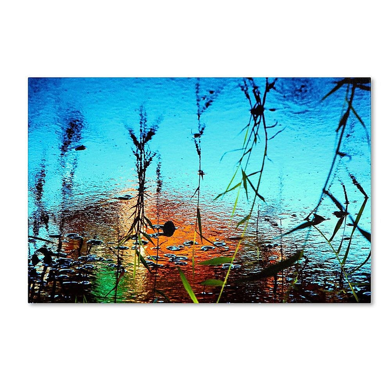 Trademark Fine Art 30" x 47" Canvas, Wood Gallery Wrapped Art