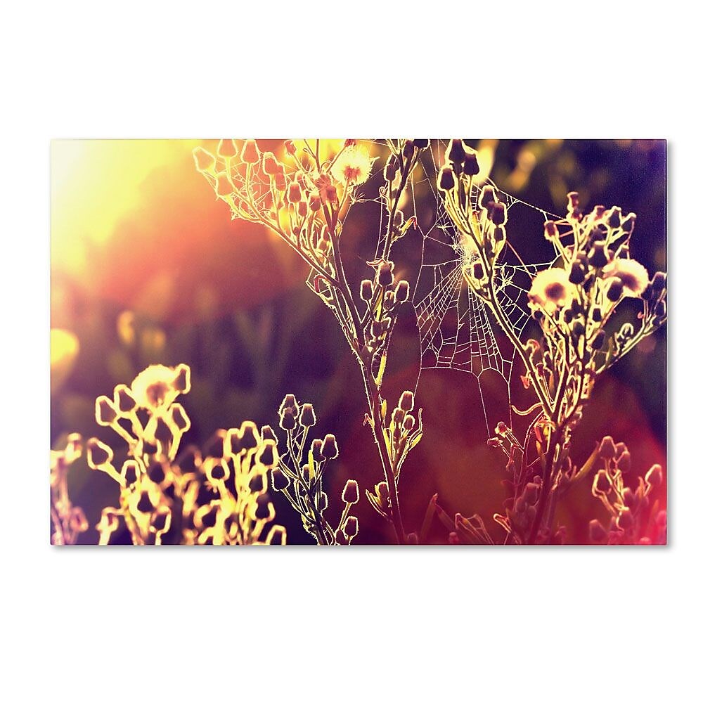 Trademark Fine Art 16" x 24" Wooden Frame Painting with Light