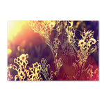 Trademark Fine Art 22" x 32" Wooden Frame Painting with Light