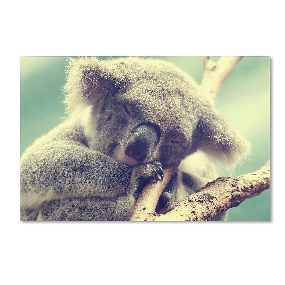 Trademark Fine Art 16" x 24" Wooden Frame Art Sleepy Head
