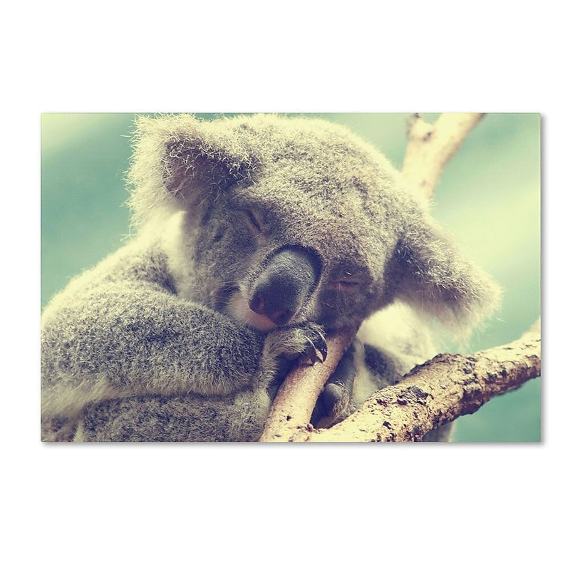 Trademark Fine Art 12" x 19" Wooden Frame Sleepy Head