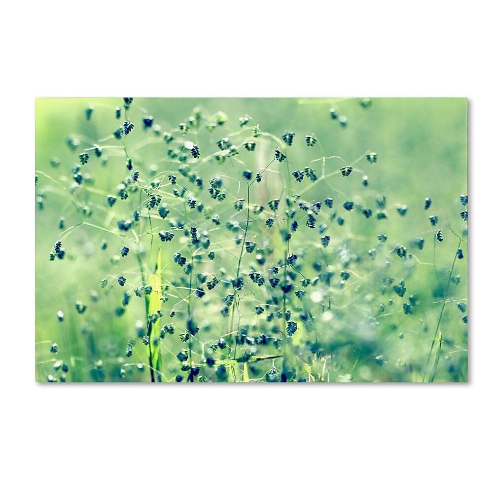 Trademark Fine Art 22" x 32" Wooden Frame Spring Notes