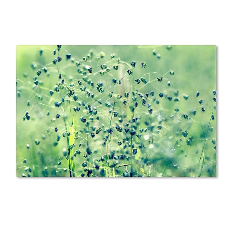 Trademark Fine Art 22" x 32" Wooden Frame Spring Notes