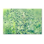 Trademark Fine Art 30" x 47" Wooden Frame Spring Notes