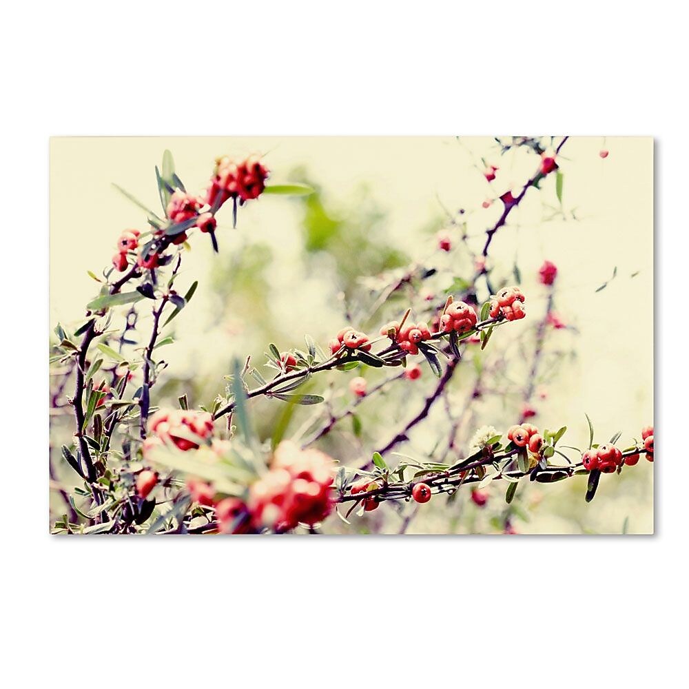 Trademark Fine Art 22" x 32" Wooden Frame Summer Melody