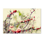 Trademark Fine Art 22" x 32" Wooden Frame Summer Melody