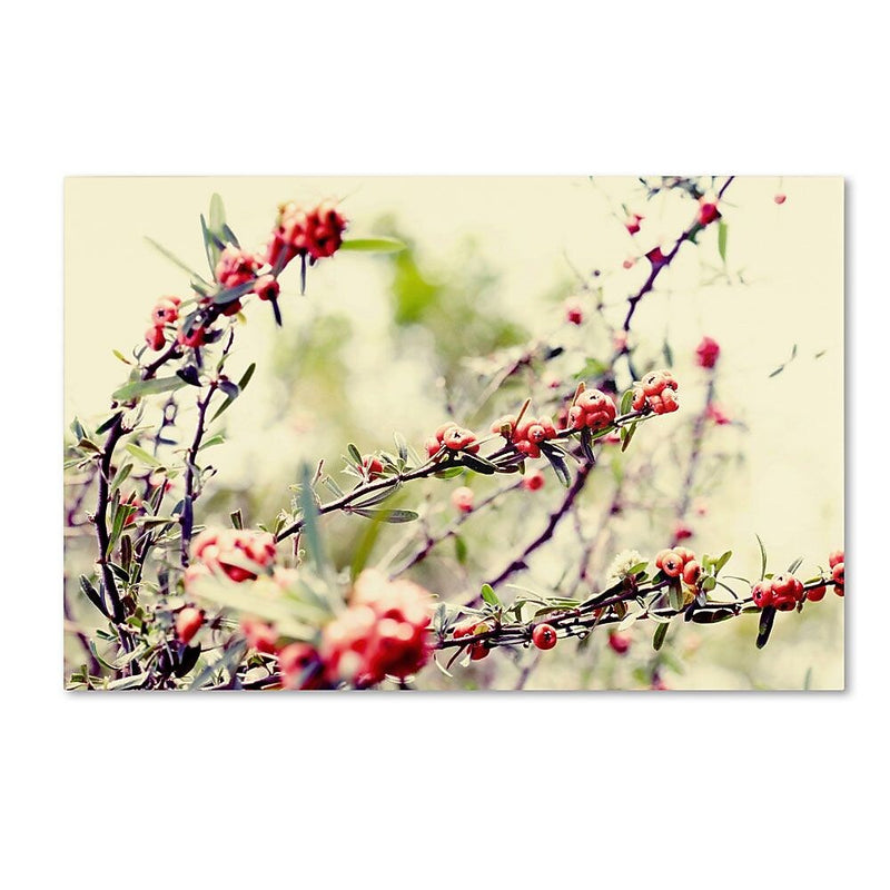 Trademark Fine Art 22" x 32" Wooden Frame Summer Melody
