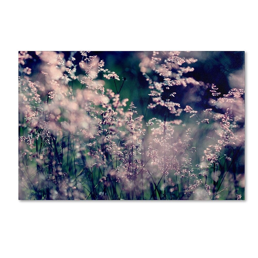 Trademark Fine Art 16" x 24" Wooden Frame Sweet Emotions