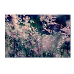 Trademark Fine Art 12" x 19" Wooden Frame Sweet Emotions