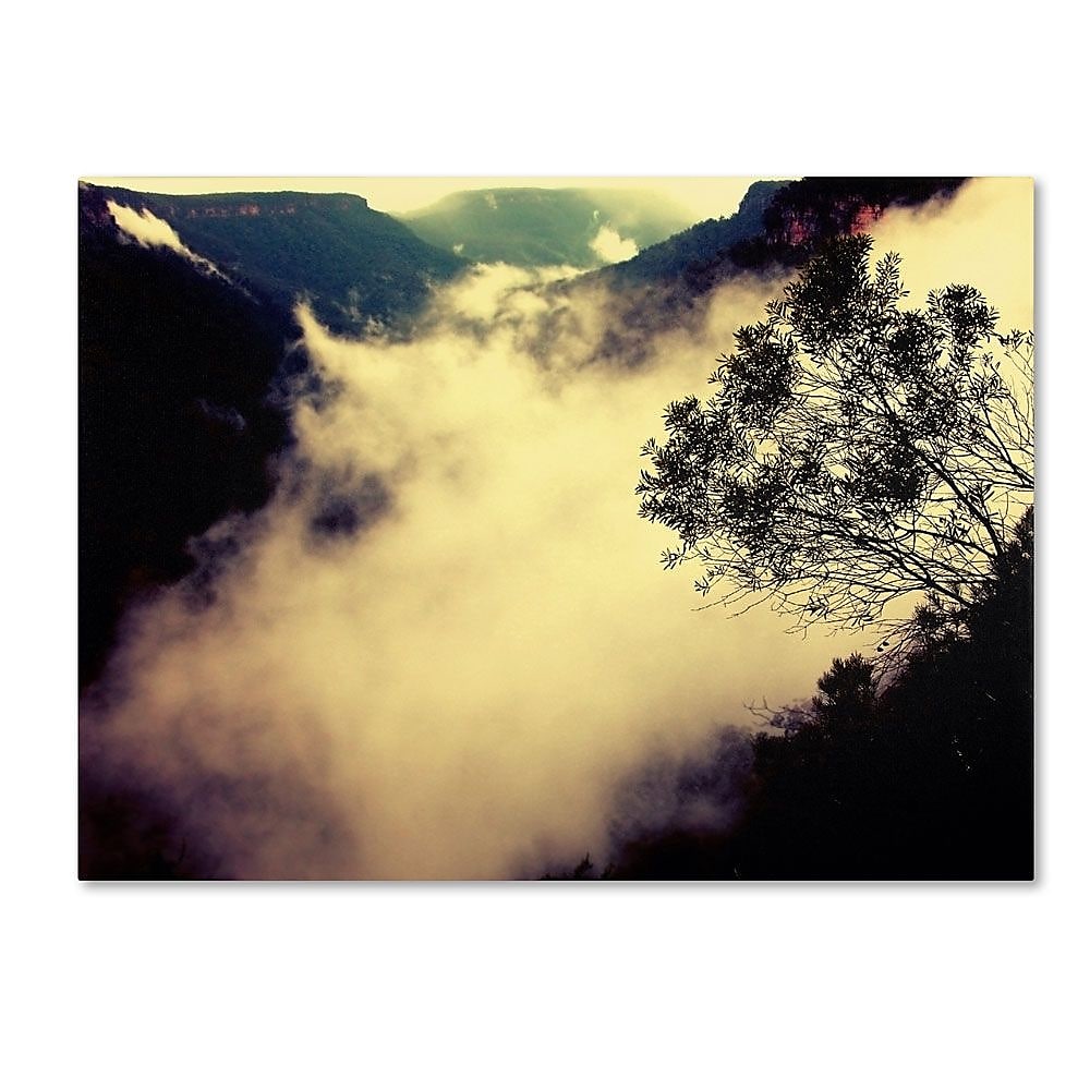 Trademark Fine Art 14" x 19" Wooden Frame Valley of Light
