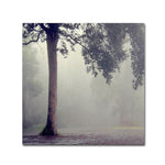 Trademark Fine Art 14" x 14" Wooden Frame Winter Romance