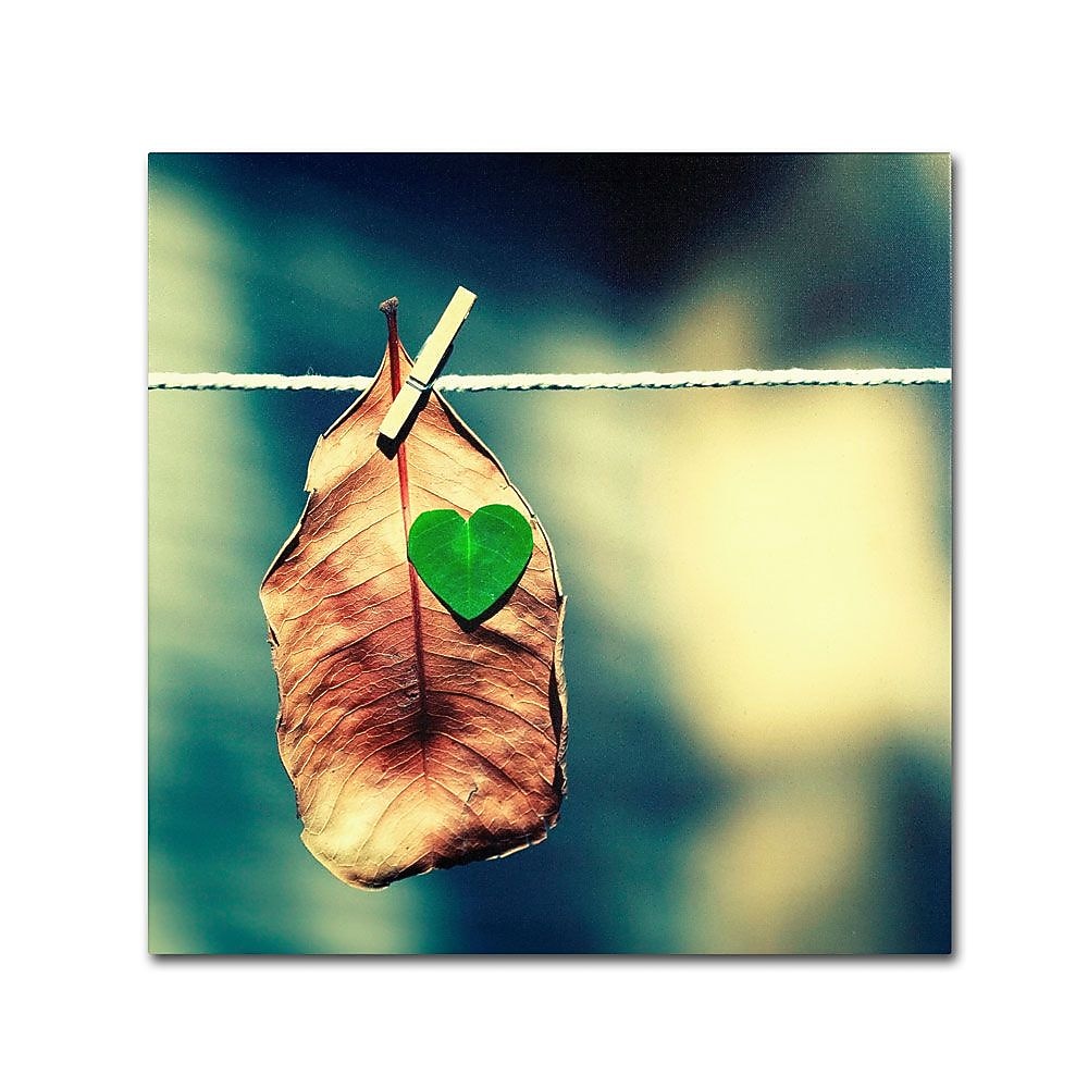 Trademark Fine Art 24" x 24" Wooden Frame Young at Heart