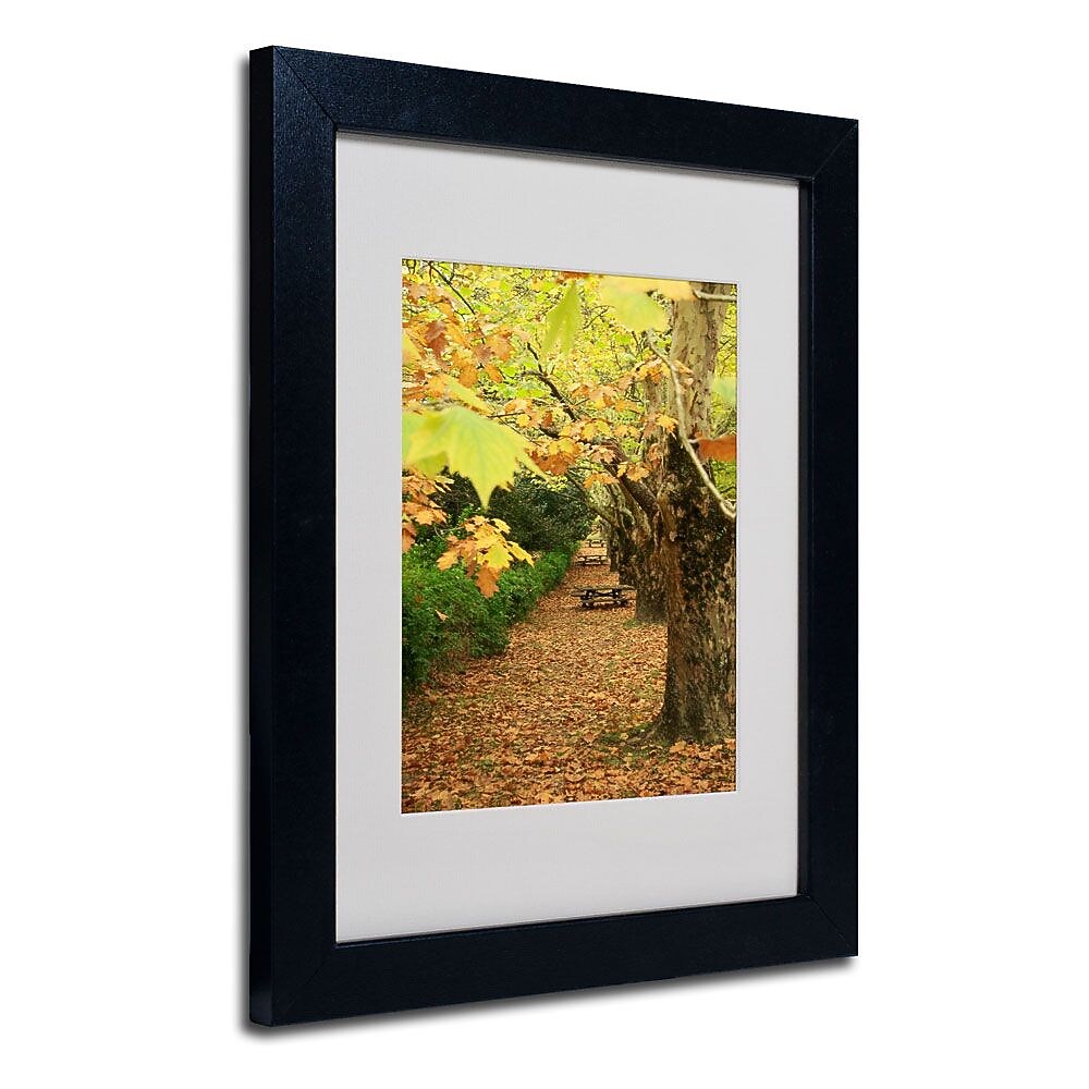 Trademark Fine Art 14" x 11" Acrylic Autumn, Black Frame