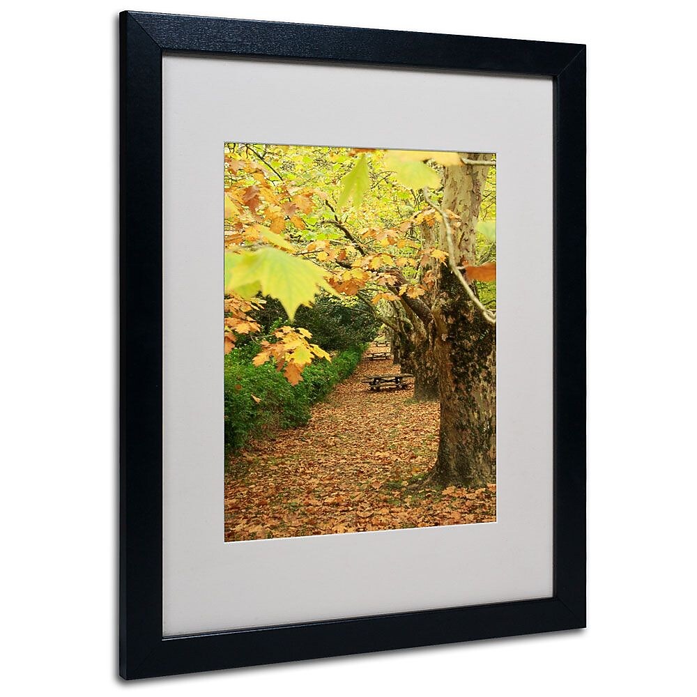 Trademark Fine Art 16" x 20" Acrylic Autumn, Black Frame