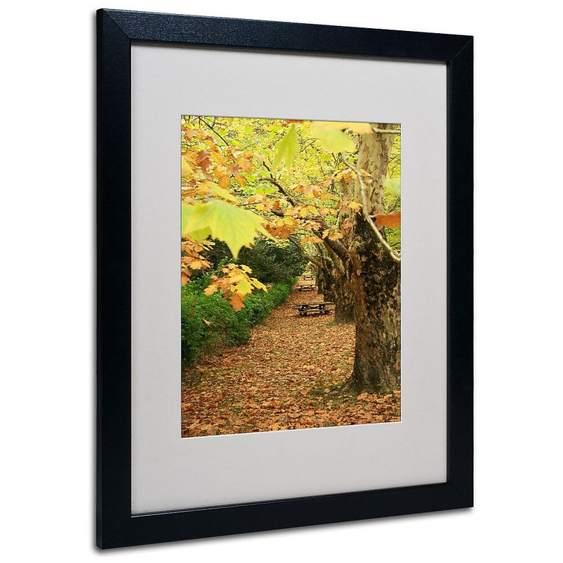 Trademark Fine Art 16" x 20" Acrylic Autumn, Black Frame